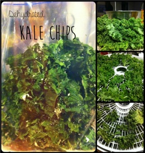 Crispy Dehydrated Kale Chips #healthysnack
